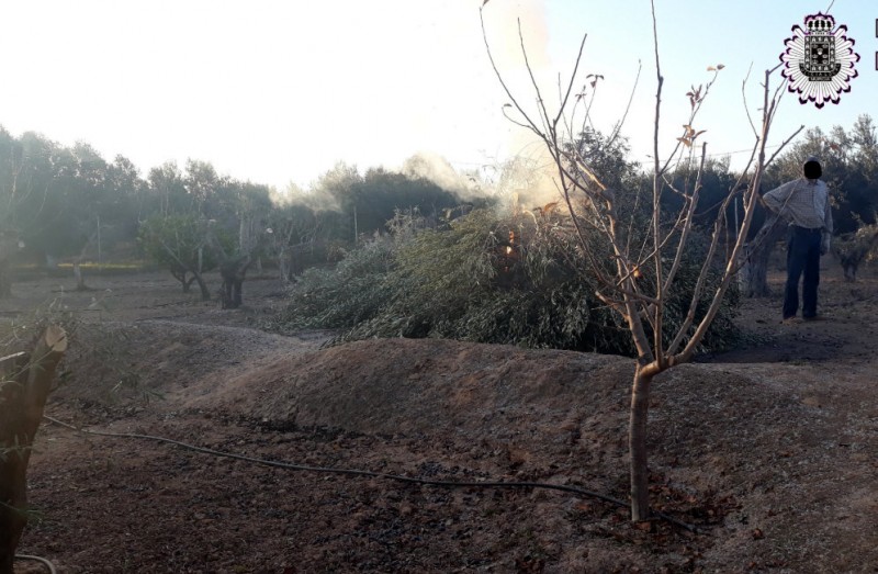 <span style='color:#780948'>ARCHIVED</span> - Air quality alert in Murcia as 12 face fines for lighting bonfires and burning cuttings