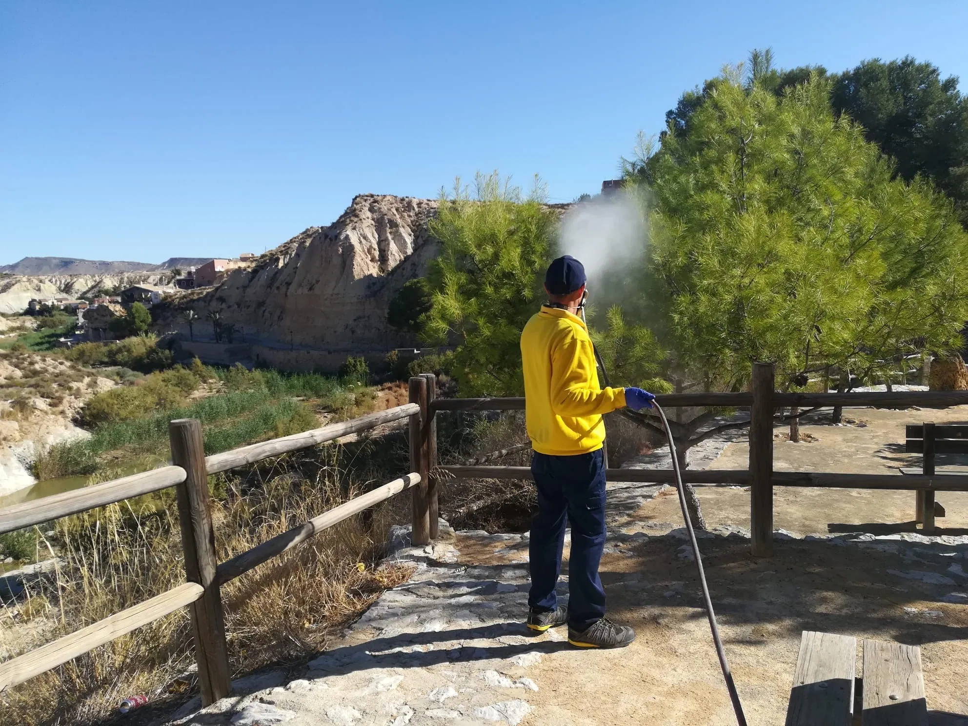 <span style='color:#780948'>ARCHIVED</span> - Spraying against the processionary caterpillar begins early in north-west Murcia this year