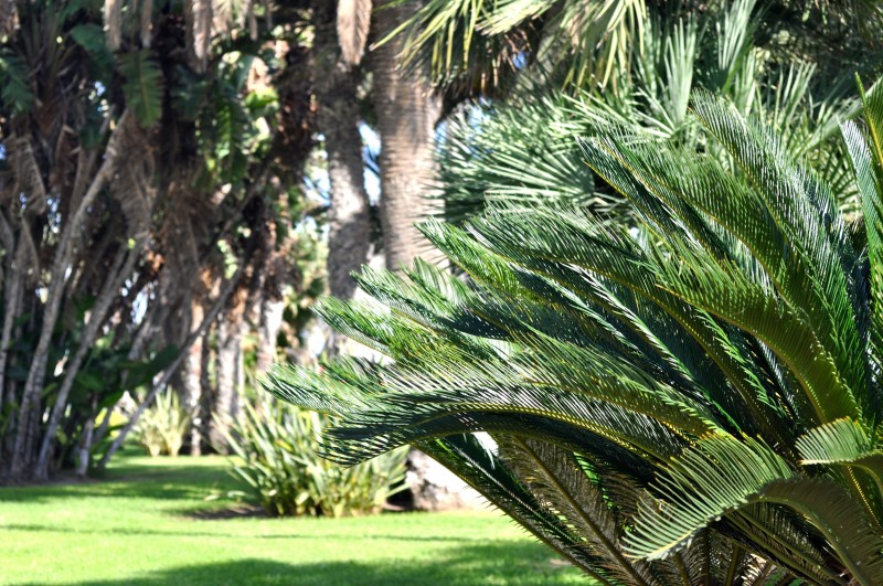 Plaza Puerta del Mar in Alicante City