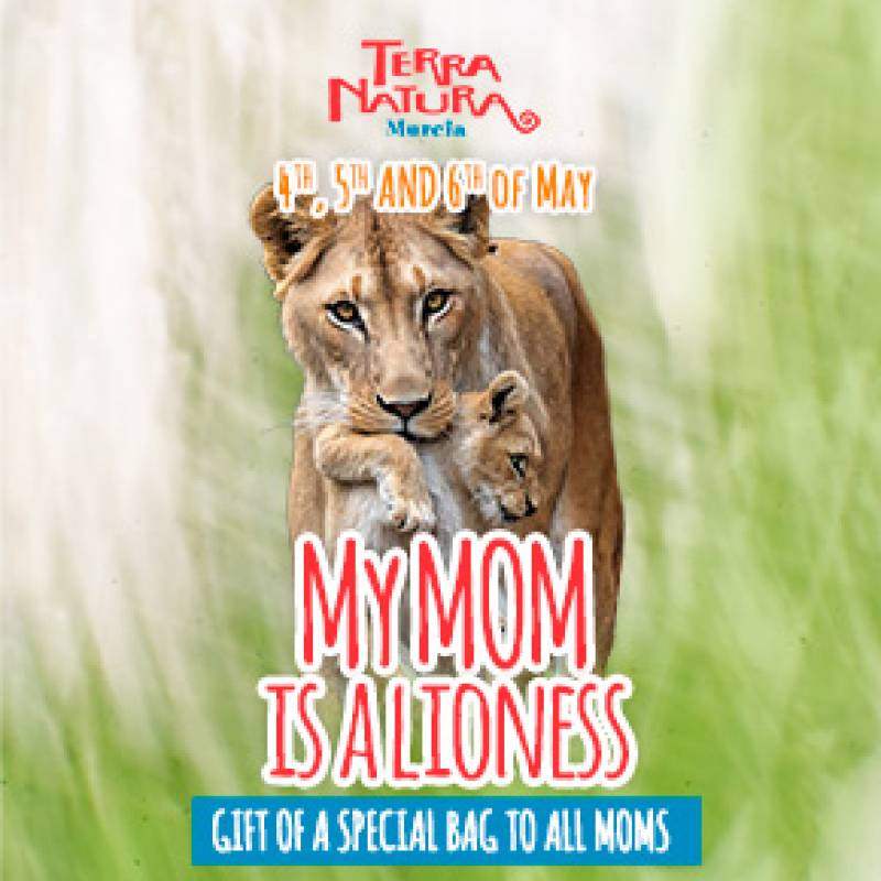 May 4-6 Special deal for Mother's Day at Terra Natura Murcia zoo