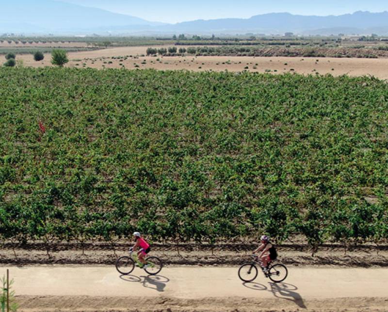 The Yecla-Biar greenway in northern Murcia and western Alicante