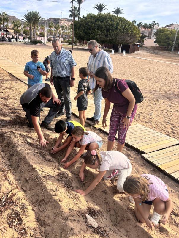 700 native beach species planted in San Juan de los Terreros, Pulpí