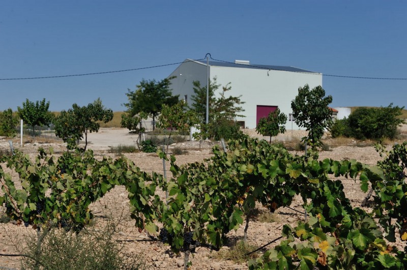 Bodegas Evine winery affiliated to the Yecla Wine Route