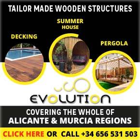 Evolution Wood Banner
